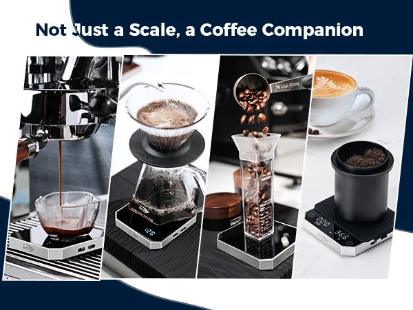 Balanza de Café Digital IKAPE Smart Palm V3 – Balanza Electrónica de Precisión 2 kg/0,1 g con Temporizador y Batería Recargable (Mini, Metal)